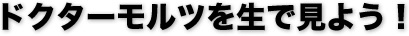 ドクターモルツの思考法を生で見よう！